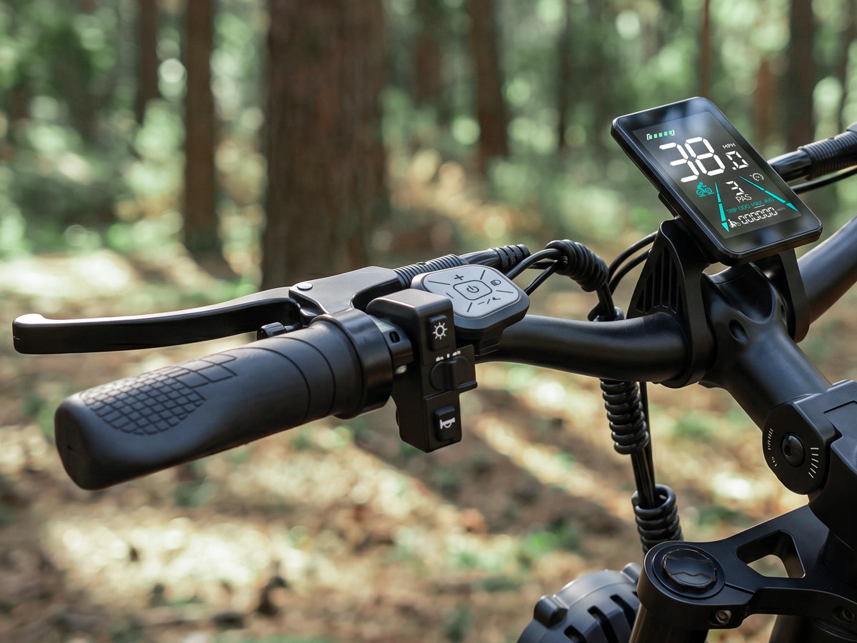 FENGQS H6 PRO Bici Elettrica Fuoristrada per Adulti