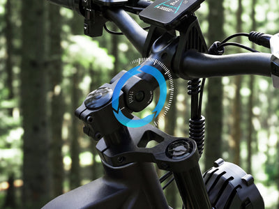 FENGQS H6 PRO Bici Elettrica Fuoristrada per Adulti