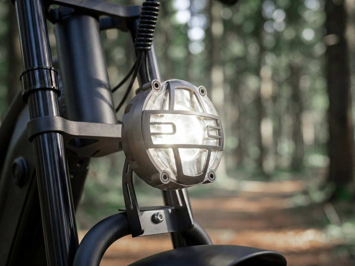 FENGQS H6 PRO Bici Elettrica Fuoristrada per Adulti