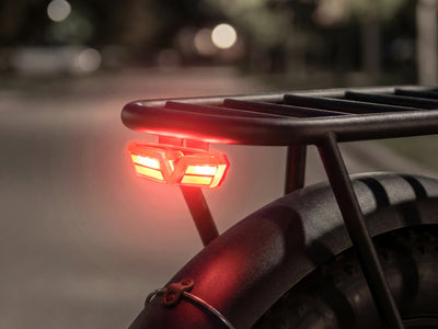 FENGQS H6 PRO Bici Elettrica Fuoristrada per Adulti