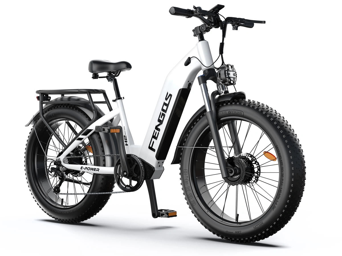 Bicicleta eléctrica todoterreno de doble motor FENGQS H2 PRO