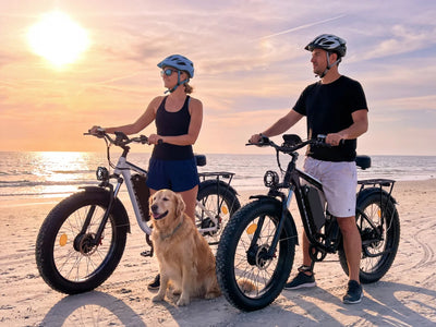 FENGQS Q8 Plus 26" Adult Fat Tyre Off-Road E-Bike