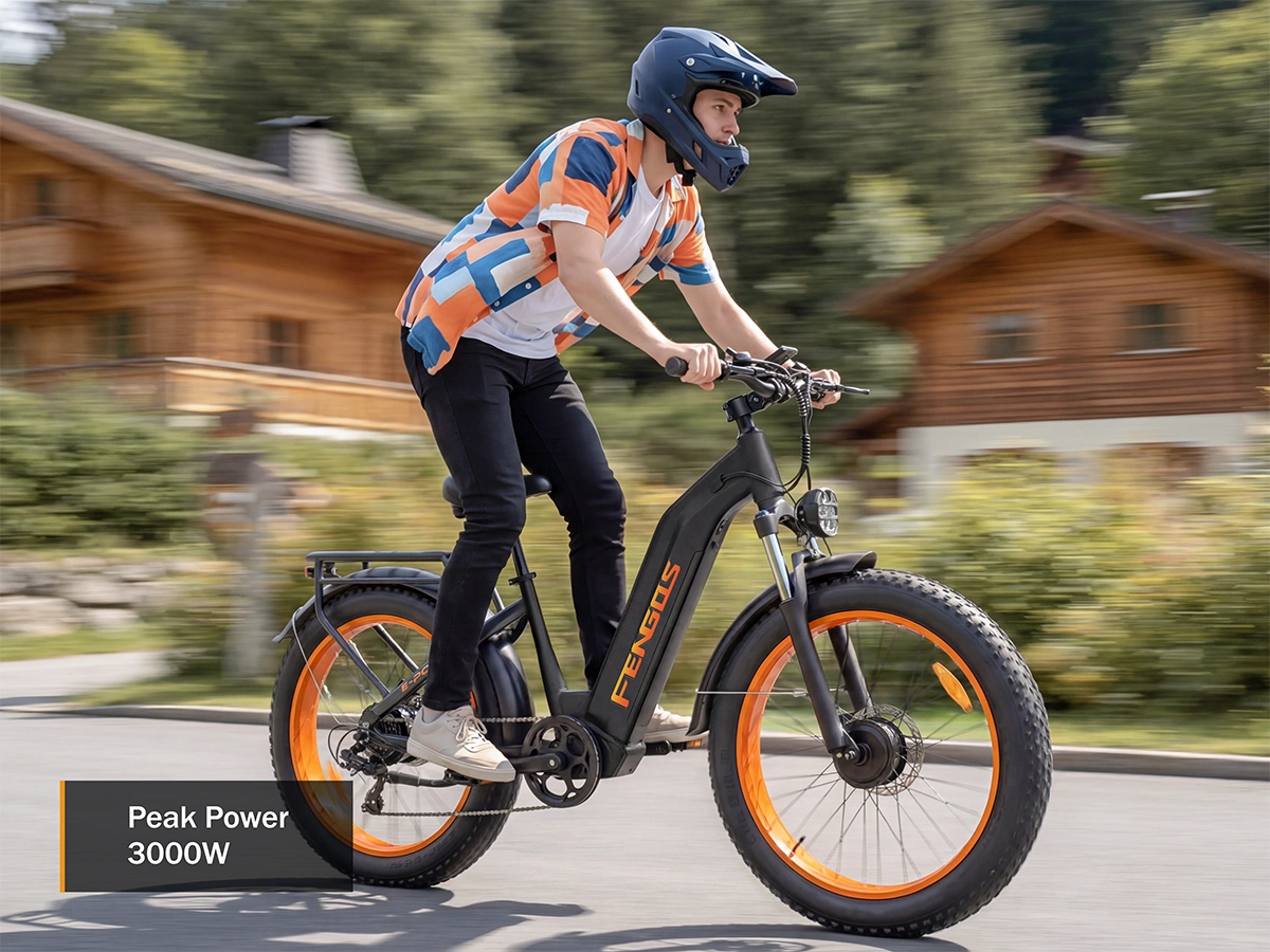 Bicicleta eléctrica todoterreno de doble motor FENGQS H2 PRO